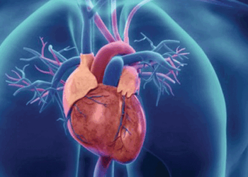 सोताङ गाउँपालिकामा निःशुल्क मुटु परीक्षण तथा उपचार सेवा हुने