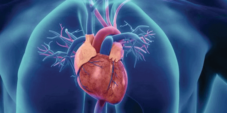 सोताङ गाउँपालिकामा निःशुल्क मुटु परीक्षण तथा उपचार सेवा हुने