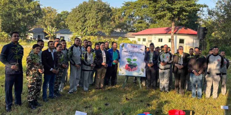 नेपाल रेडियोलोजिष्ट एसोसियसनद्वारा सैनिक अस्पताल परिसरमा सयवटा बिरुवा रोपण