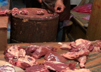 सोलुखुम्बु मासुमा आत्मनिर्भर, उत्पादन र खपत दुवै बढ्दो