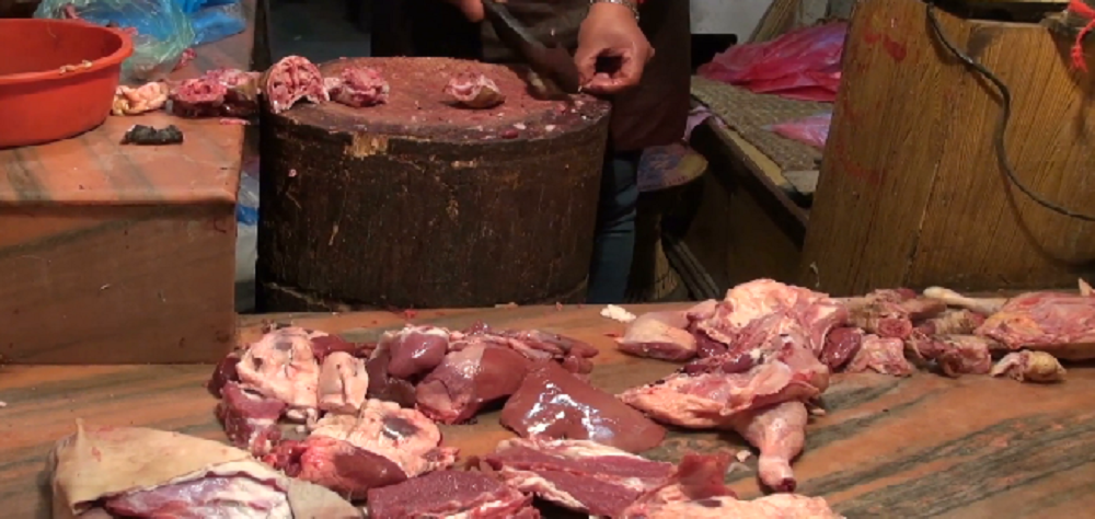 सोलुखुम्बु मासुमा आत्मनिर्भर, उत्पादन र खपत दुवै बढ्दो