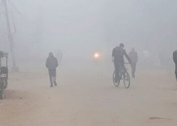 तराई–मधेशमा निरन्तर हुस्सु र कुहिरो, जनजीवन प्रभावित