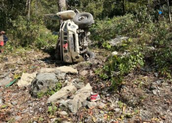 सोलुखुम्बुमा बोलेरो दुर्घटना, ९ जना घाइते