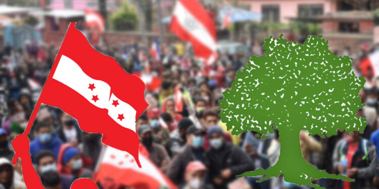 सोलुखुम्बुका ६ वटा पालिका सभापतिले जनाए विशेष महाधिबेशनमा ऐक्यबद्धता