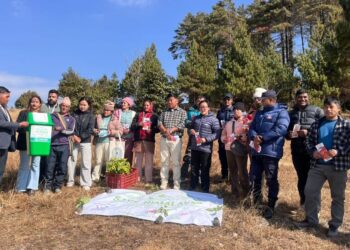 सन नेपाल लाईफ इन्स्योरेन्स सोलुद्वारा नेचासल्यानमा वृक्षारोपण