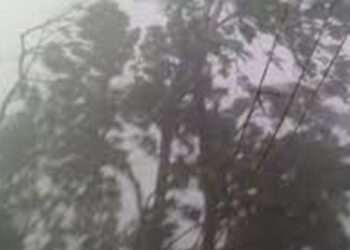 ताप्ली गाउँपालिकामा हावाहुरीको वितण्डा: घरका छाना उडे, विद्युत र सडक सेवा अवरुद्ध