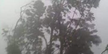 ताप्ली गाउँपालिकामा हावाहुरीको वितण्डा: घरका छाना उडे, विद्युत र सडक सेवा अवरुद्ध