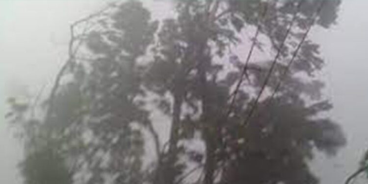 ताप्ली गाउँपालिकामा हावाहुरीको वितण्डा: घरका छाना उडे, विद्युत र सडक सेवा अवरुद्ध