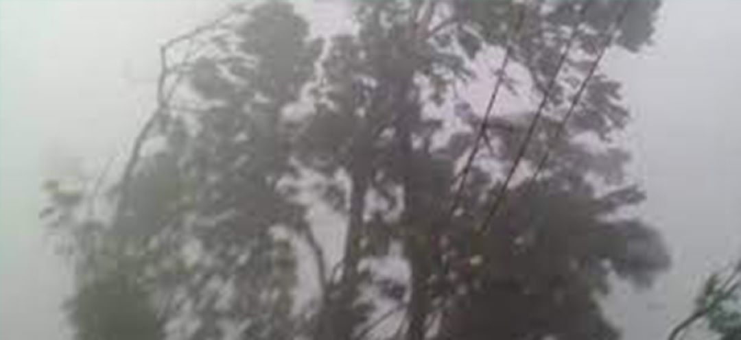 ताप्ली गाउँपालिकामा हावाहुरीको वितण्डा: घरका छाना उडे, विद्युत र सडक सेवा अवरुद्ध