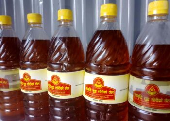 केपिलासगढीमा शुद्ध तोरी तेल उत्पादन सुरु