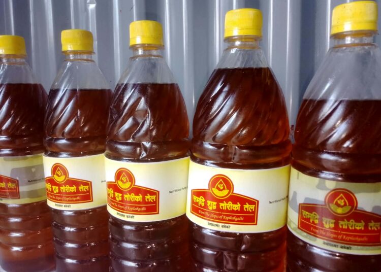 केपिलासगढीमा शुद्ध तोरी तेल उत्पादन सुरु