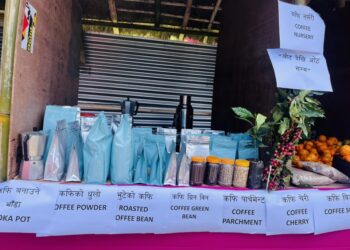 नेचासल्यान महोत्सव : स्थानीय उत्पादनको बजारीकरणमा कोशेढुंगा
