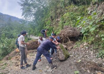 रुख ढलेपछि अवरुद्ध भएको वाकु–सल्लेरी भित्री सडक ८ घण्टापछि सञ्चालनमा