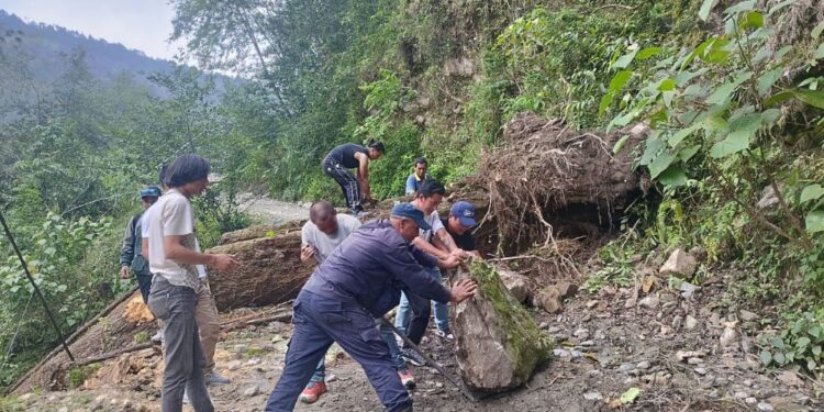 रुख ढलेपछि अवरुद्ध भएको वाकु–सल्लेरी भित्री सडक ८ घण्टापछि सञ्चालनमा