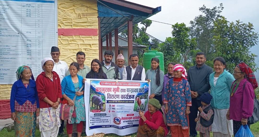 एकल महिलाको आर्थिक सशक्तीकरणका लागि नेचासल्यान गाउँपालिकाद्वारा बङ्गुर र बाख्रा वितरण