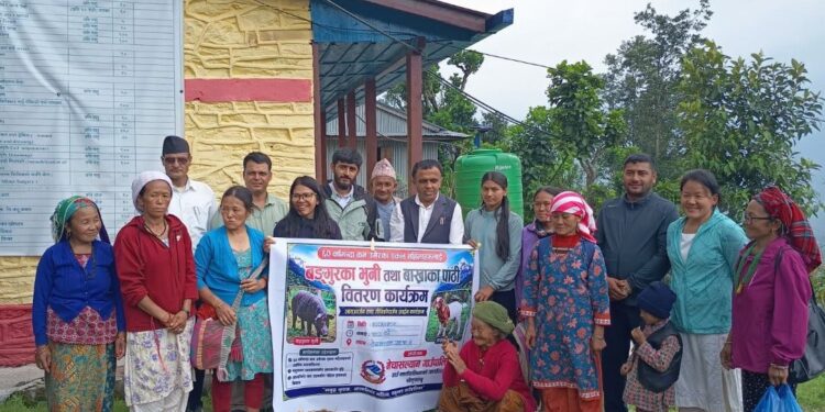 एकल महिलाको आर्थिक सशक्तीकरणका लागि नेचासल्यान गाउँपालिकाद्वारा बङ्गुर र बाख्रा वितरण