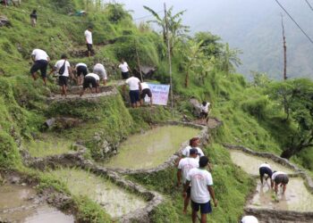 २३ औँ राष्ट्रिय धान दिवस सोलुको थुलुङ दुधकोशी–८ मा मनाइयो
