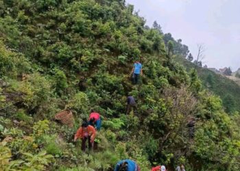 महुली लघुवित्तको १४औँ वार्षिकोत्सवमा वृक्षरोपण