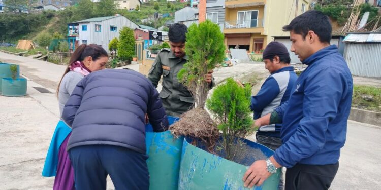 सार्वजनिक स्थलमा रोपिएका विरुवा नष्ट नगर्न सोलुदुधकुण्ड नगरपालिकाको आग्रह
