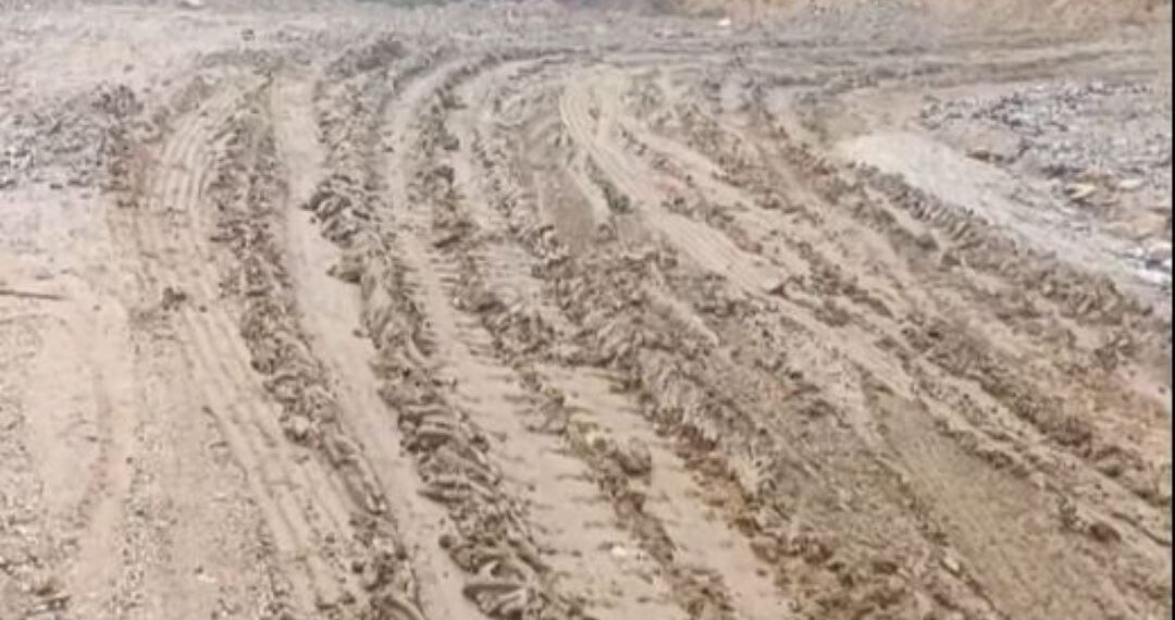 सात वर्षअघि खुलेको सडक जीर्ण, टाक्सिन्दुका स्थानीयको तत्काल मर्मतको माग