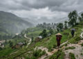 आज र भोलि भारी वर्षाको चेतावनी, पहाड र तराईमा सतर्क रहन आग्रह