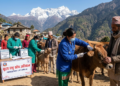 सोलुखुम्बुमा ६३ हजारभन्दा बढी पशुलाई खोप