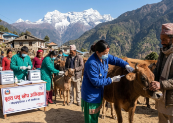 सोलुखुम्बुमा ६३ हजारभन्दा बढी पशुलाई खोप