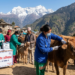 सोलुखुम्बुमा ६३ हजारभन्दा बढी पशुलाई खोप