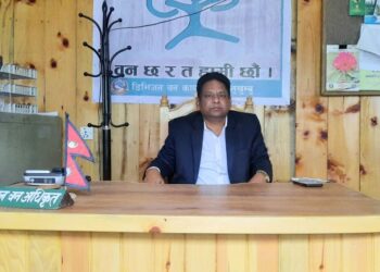 सोलुखुम्बुबाट ११ लाख ३३ हजार क्युफिट काठ निकासी, सरकारलाई करोडौं राजस्व