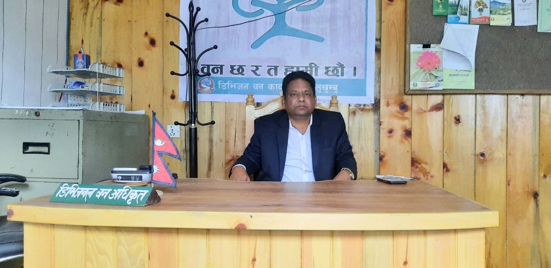 सोलुखुम्बुबाट ११ लाख ३३ हजार क्युफिट काठ निकासी, सरकारलाई करोडौं राजस्व