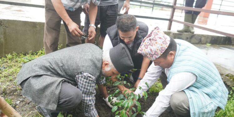 खोटाङमा विभिन्न कार्यक्रमसहित सामुदायिक वन दिवस मनाइयो