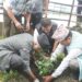 खोटाङमा विभिन्न कार्यक्रमसहित सामुदायिक वन दिवस मनाइयो