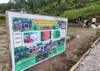 गार्मा माविमा पढाइसँगै आम्दानीको अभ्यास, कृषि विद्यार्थी खेतमै व्यस्त