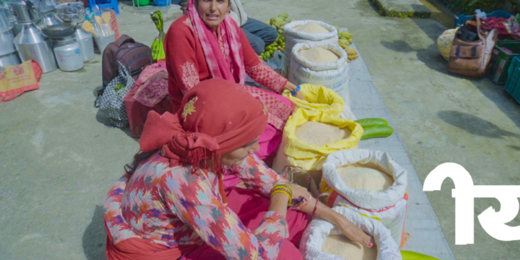 सल्लेरीमा लोकल चामल बिक्री नहुँदा व्यापारीलाई ढुवानी खर्च उठाउनै मुस्किल