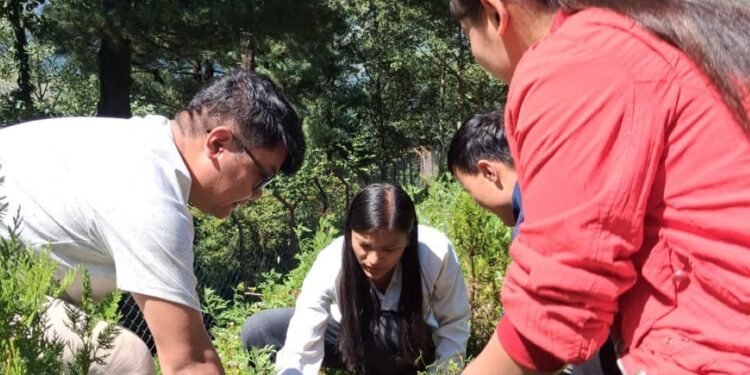 किरात राई पत्रकार संघ सोलुखुम्बुले वृक्षारोपण गरी स्थापना दिवस मनायो