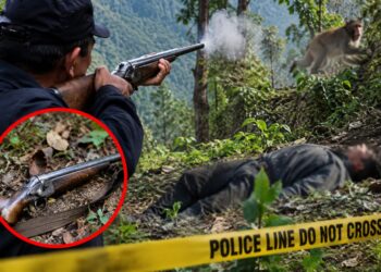 बाँदरलाई हानेको गोली भाईलाइ लाग्यो, स्पटमै मृत्यु