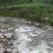 रावा खोलाले बगाउँदा खोटाङमा एक व्यक्ति बेपत्ता