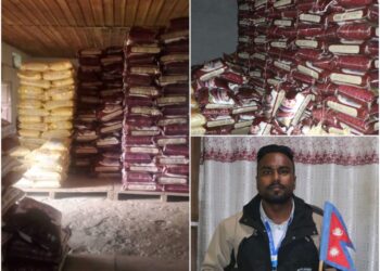 सोलुमा सहुलियतको चामल धमाधम बिक्री, ९१९ बोरा सकियो