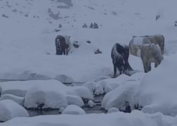 सोलुखुम्बुको माथिल्लो भेगमा हिमपात, पर्यटकलाई सुरक्षित स्थानमै रहन आग्रह