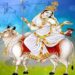 नवरात्रको आठौँ दिन आज महागौरी देवीको पूजा आराधना गरिँदै