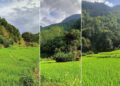 भाेलिदेखि ५ दिन सम्म कहाँ कस्ताे छ माैसम : यी प्रदेशमा भारी वर्षा र हिमपातको सम्भावना