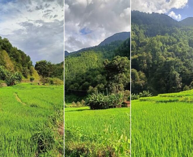 भाेलिदेखि ५ दिन सम्म कहाँ कस्ताे छ माैसम : यी प्रदेशमा भारी वर्षा र हिमपातको सम्भावना