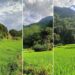भाेलिदेखि ५ दिन सम्म कहाँ कस्ताे छ माैसम : यी प्रदेशमा भारी वर्षा र हिमपातको सम्भावना