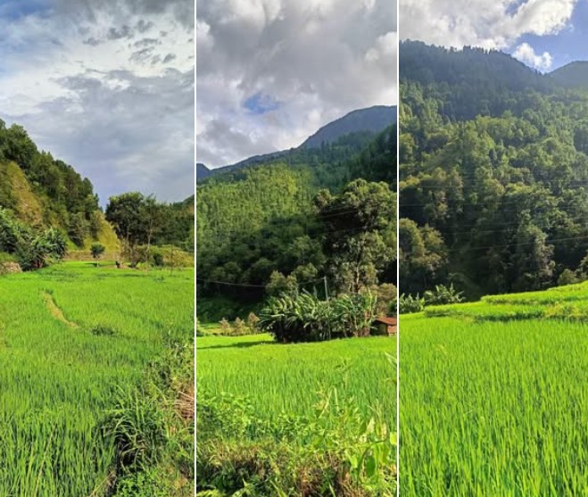 भाेलिदेखि ५ दिन सम्म कहाँ कस्ताे छ माैसम : यी प्रदेशमा भारी वर्षा र हिमपातको सम्भावना