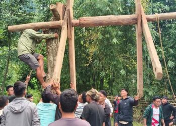 १० वर्षपछि पुनः सुरु भएको आरुबोटको रोटे पिङलाई युवाले दिए निरन्तरता
